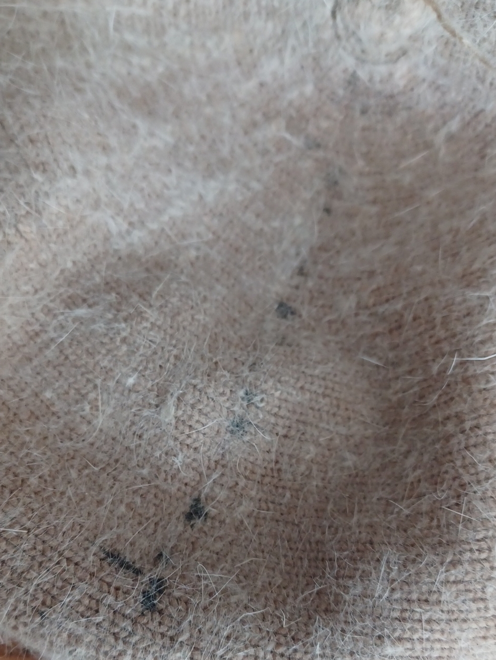 Leopard Rabbit Hair  Beret - Picture 10 of 11